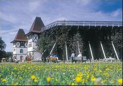 T�nie - http://www.inowroclaw.pl